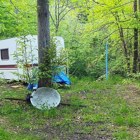 Camping le P'Tit Bonheur Escaro Eksteriør billede