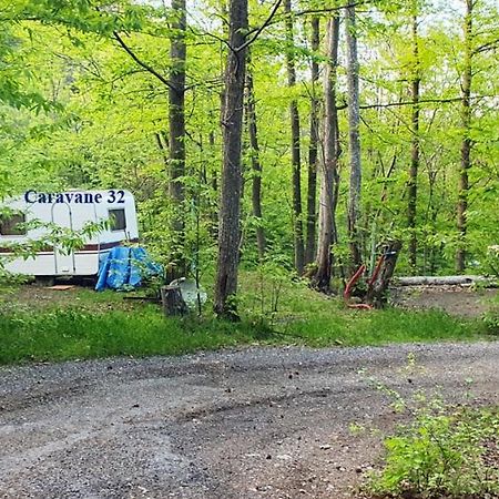 Camping le P'Tit Bonheur Escaro Eksteriør billede
